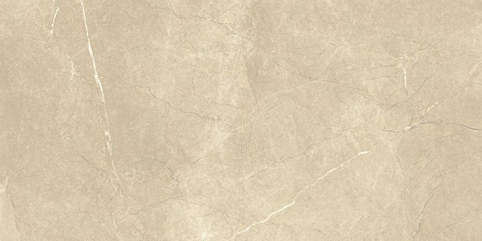 Керамогранит Italon ШАР.ЭКС.АРКАДИА 60X120 РЕТ