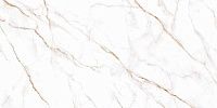 Alma Ceramica Neo Calacatta GFU60120NCL04R