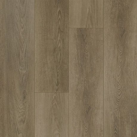 Fargo Bevel 50-6191-7