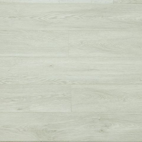 Betta SPC Suite SU1202