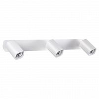 Novotech Gusto 370555